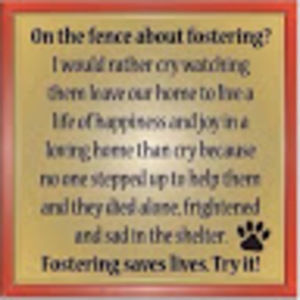 Meet your Posher, June